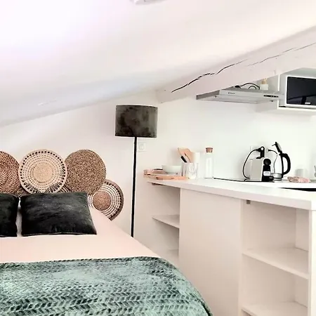 Cocon Sous Les Toits - Metro Jeanne D'arc - Gare Апартаменты Тулуза