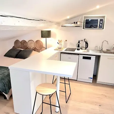 Cocon Sous Les Toits - Metro Jeanne D'arc - Gare