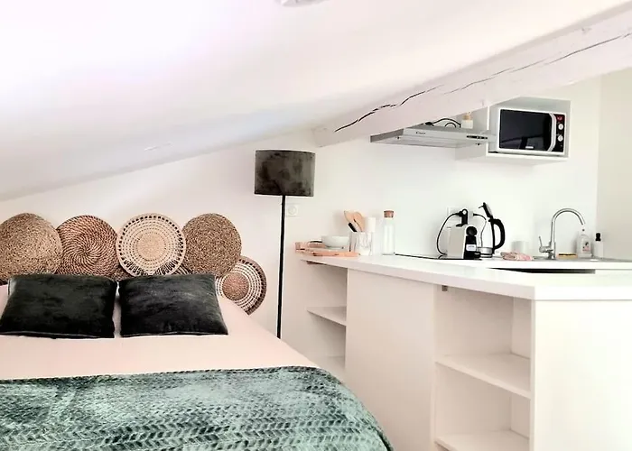 Cocon Sous Les Toits - Metro Jeanne D'arc - Gare Daire Toulouse