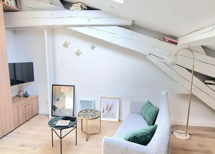 Cocon Sous Les Toits - Metro Jeanne D'arc - Gare * Toulouse